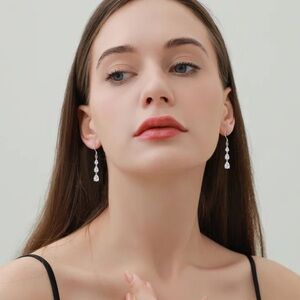 Elegant Silver Drop Earrings